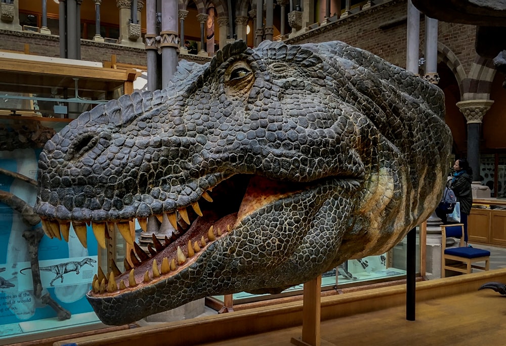 grey crocodile statue on brown wooden table