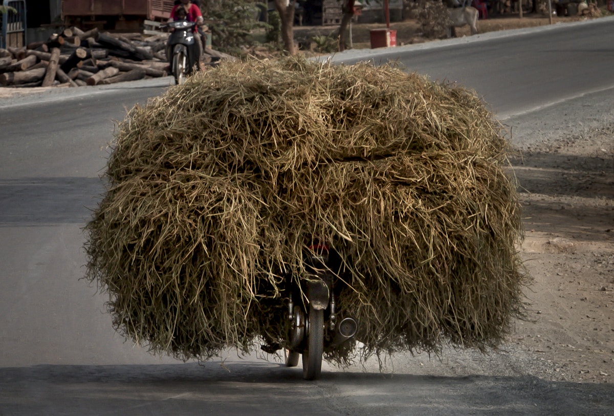This is how you transport straw in Vietnam