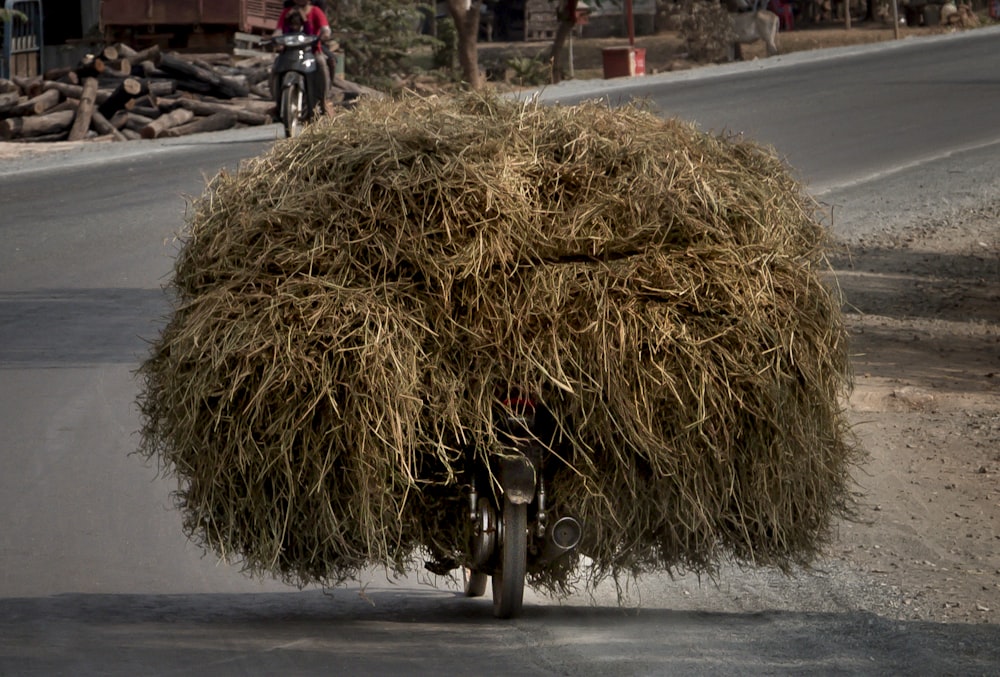 brown hay on black steel wheel barrow