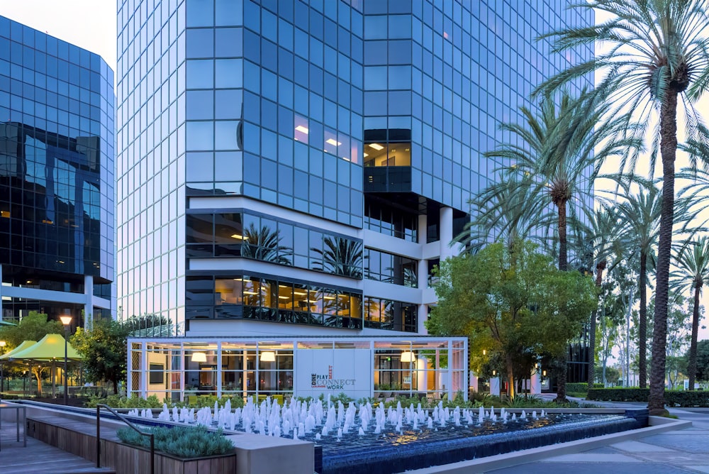 green palm trees near blue building during daytime