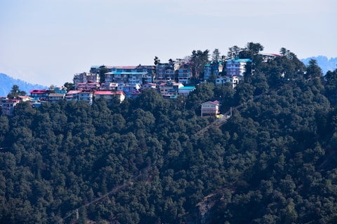 aerial view of city buildings during daytime