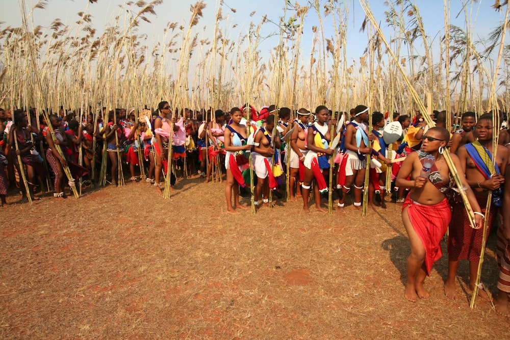 people sitting on red chairs during daytime