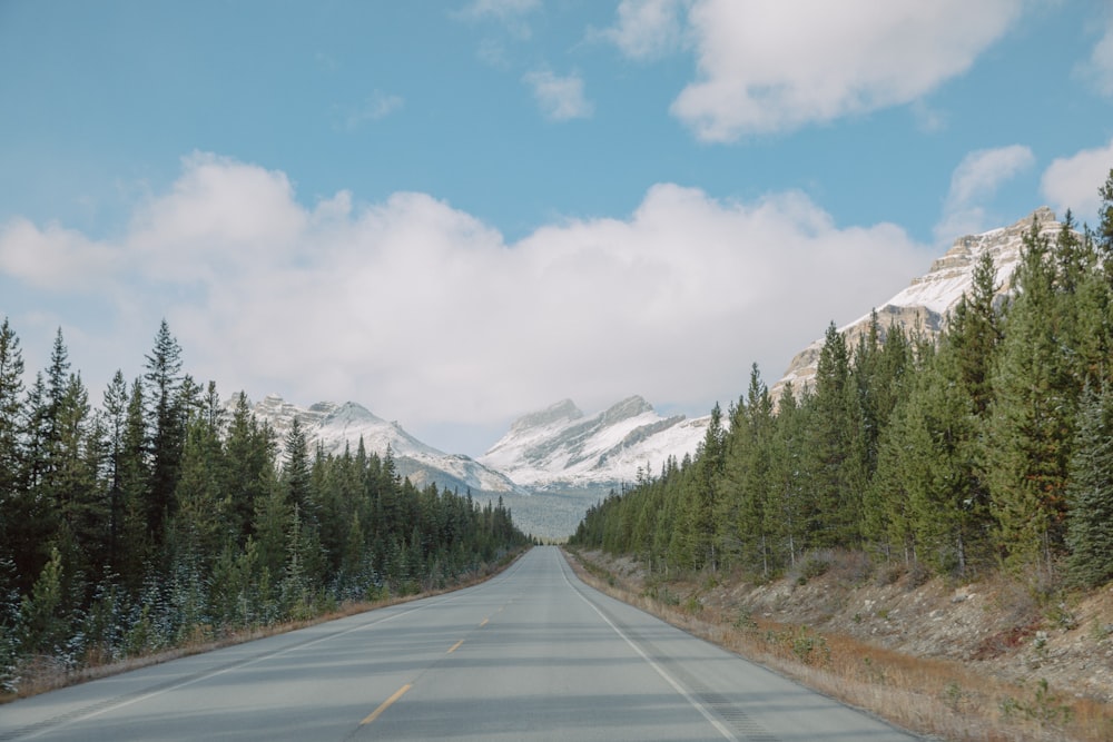 gray concrete road between green trees and snow covered mountains during daytime