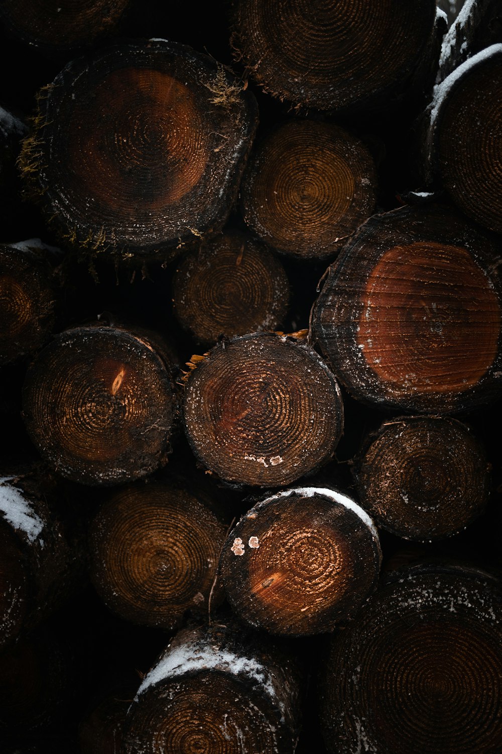 brown and black round ornament