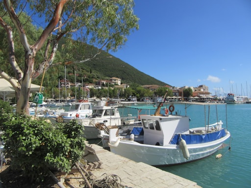 Several fishing boats are docked along a serene waterfront with clear blue water. A tree with lush green leaves and a stone walkway frame the foreground. In the background, there are small buildings nestled among green hills, under a clear blue sky.