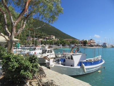 Several fishing boats are docked along a serene waterfront with clear blue water. A tree with lush green leaves and a stone walkway frame the foreground. In the background, there are small buildings nestled among green hills, under a clear blue sky.