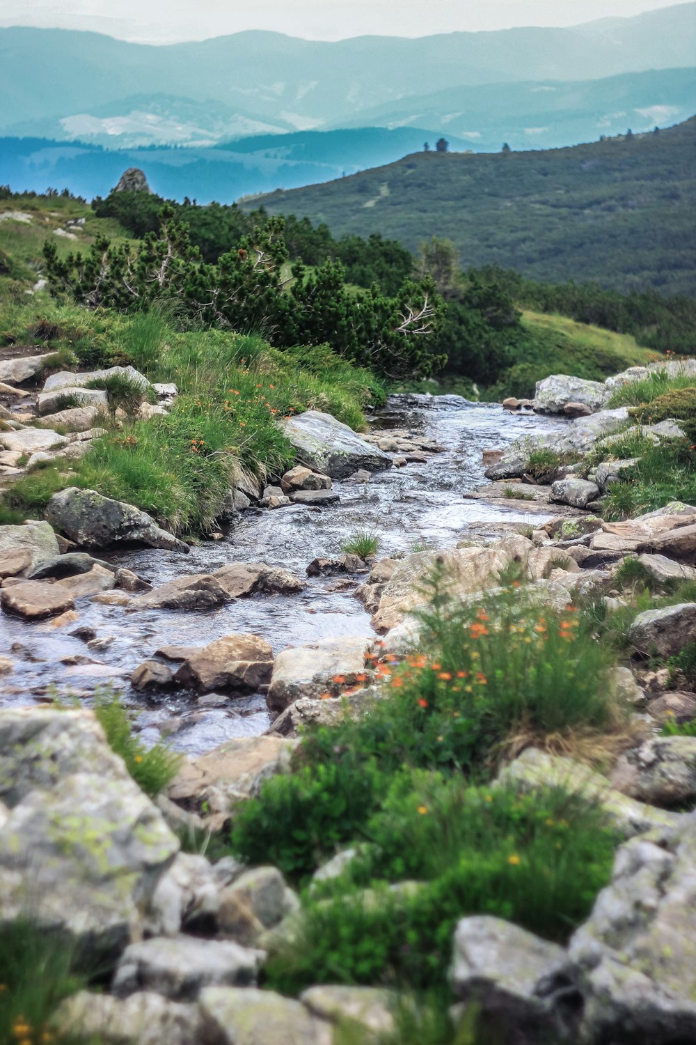 Herbe verte et pierres blanches près du plan d’eau pendant la journée