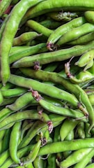 Close-up of fresh legumes being inspected for quality in Australia.
