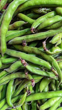 Close-up of fresh legumes being inspected for quality in Australia.