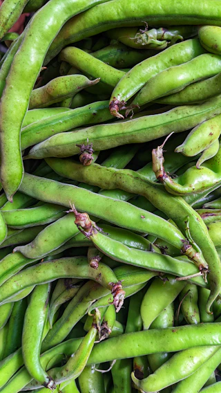 A close-up of fresh, dew-kissed green soybean pods ready for harvest.
