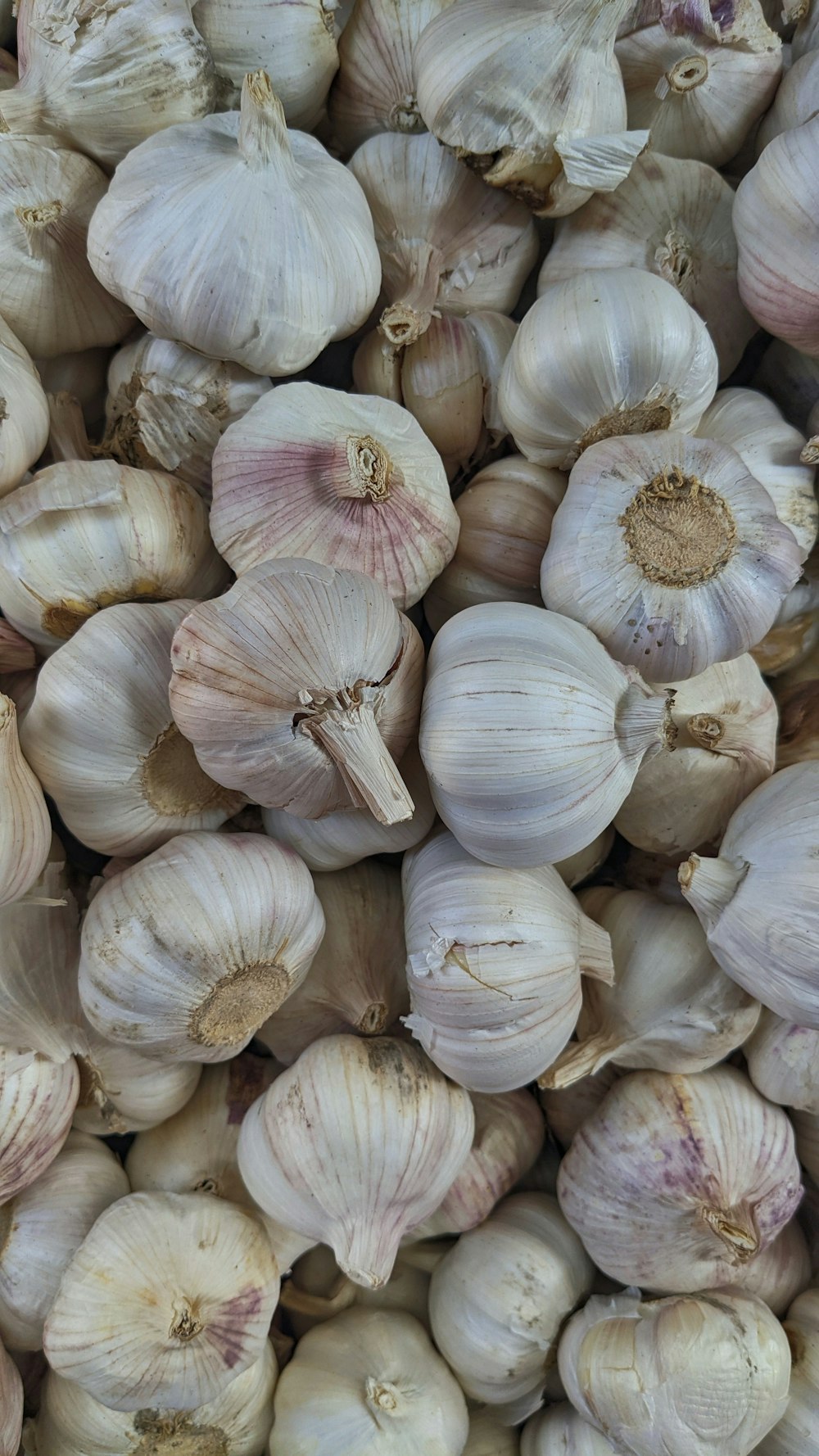 garlic lot on black surface