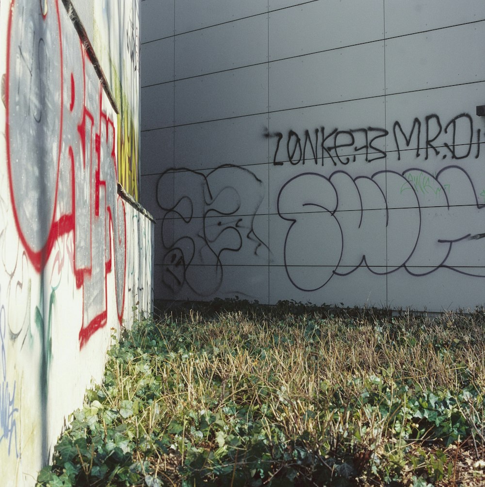 white red and blue wall