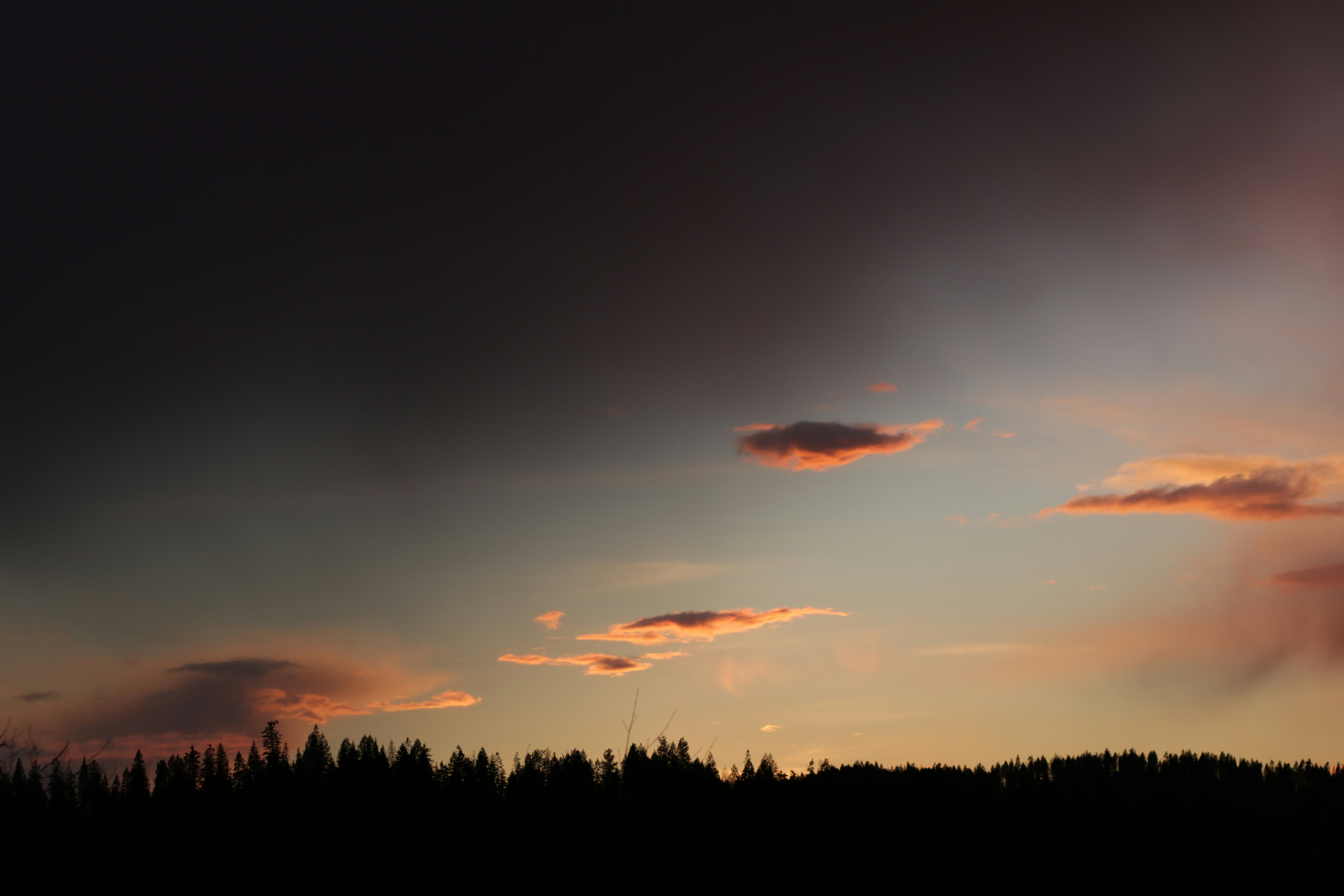 Photo by alyssatroyer