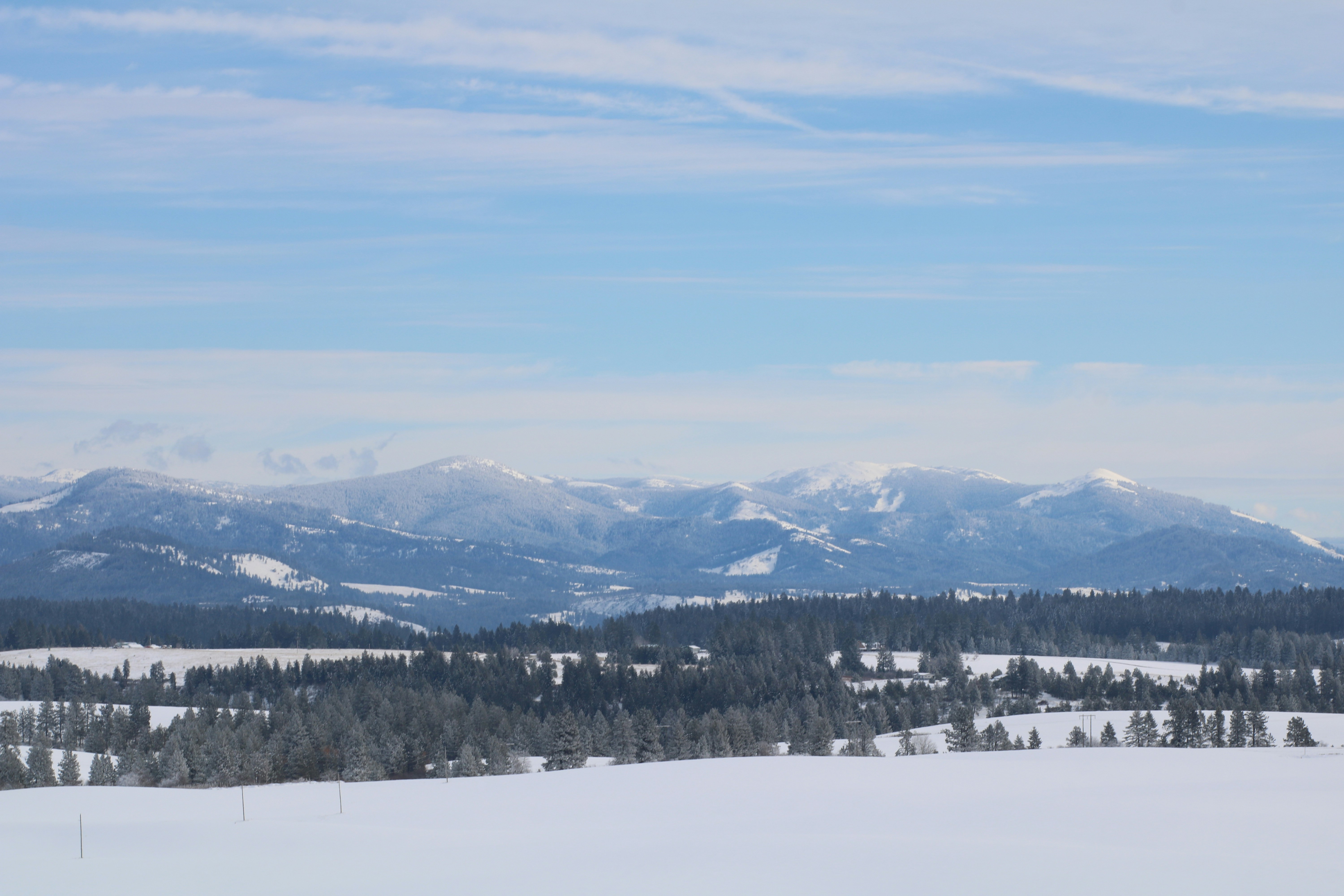 Photo by alyssatroyer