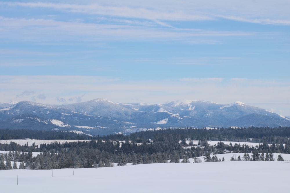 snow covered mountains under blue sky during daytime