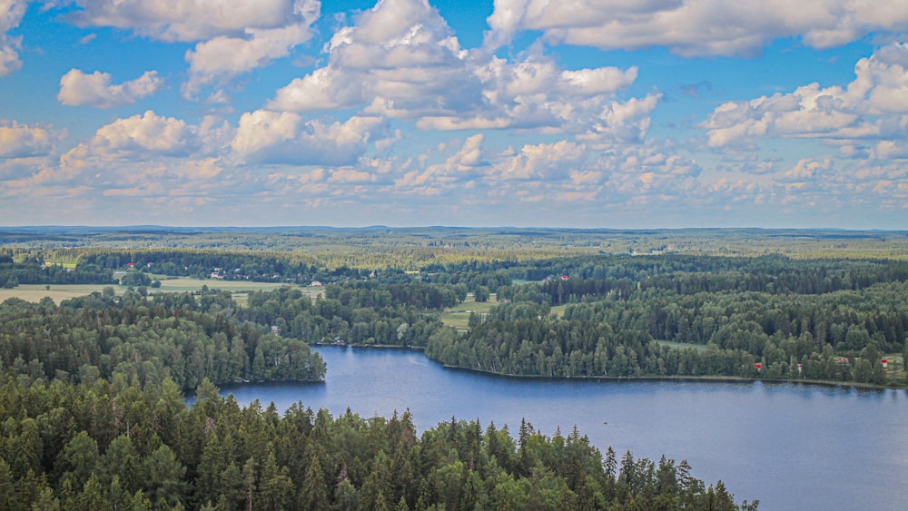 green trees near river under blue sky during daytime