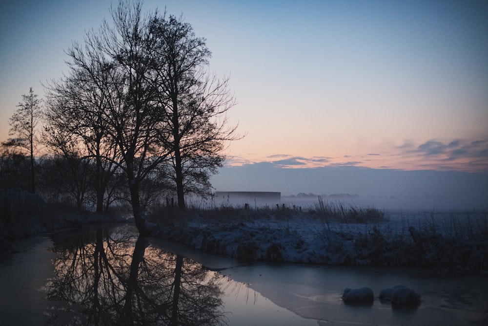 body of water near trees during daytime