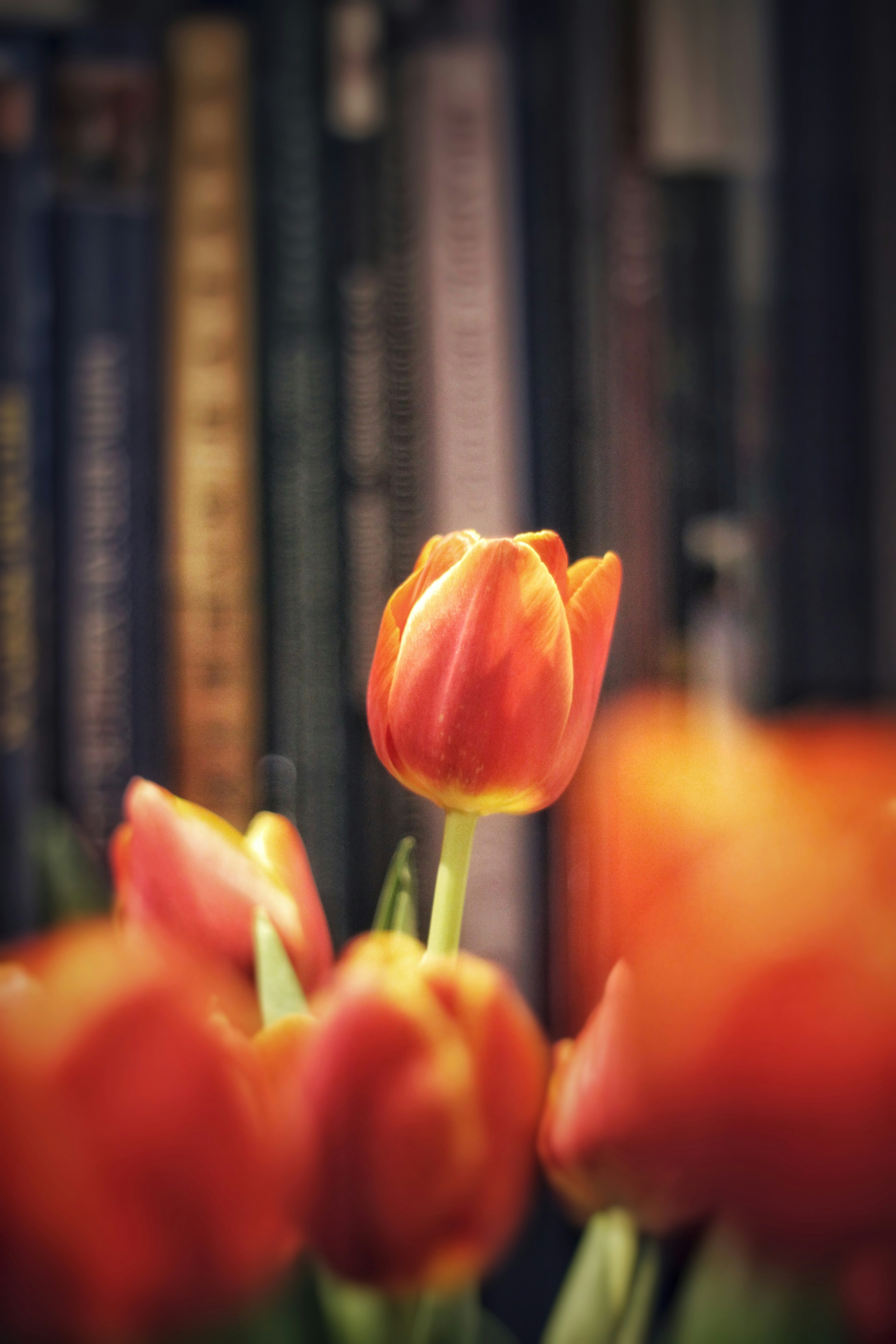 Photo by lilianflower