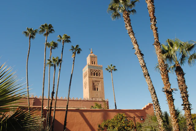 The Koutoubia Mosque minaret rising behind tall palm trees against a clear blue sky.