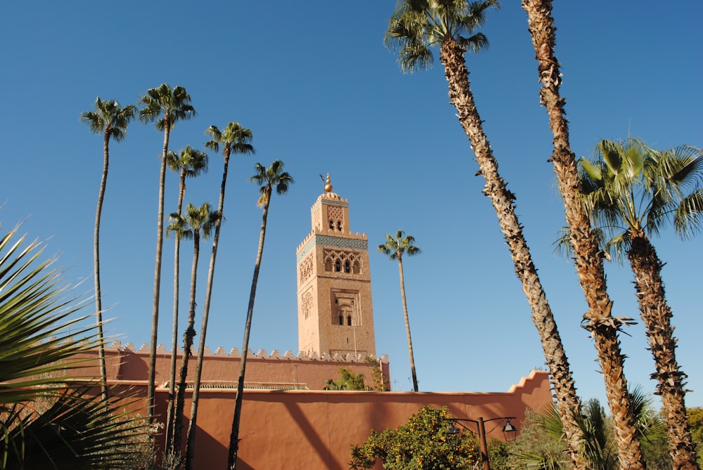 beige concrete building near palm trees under blue sky during daytime