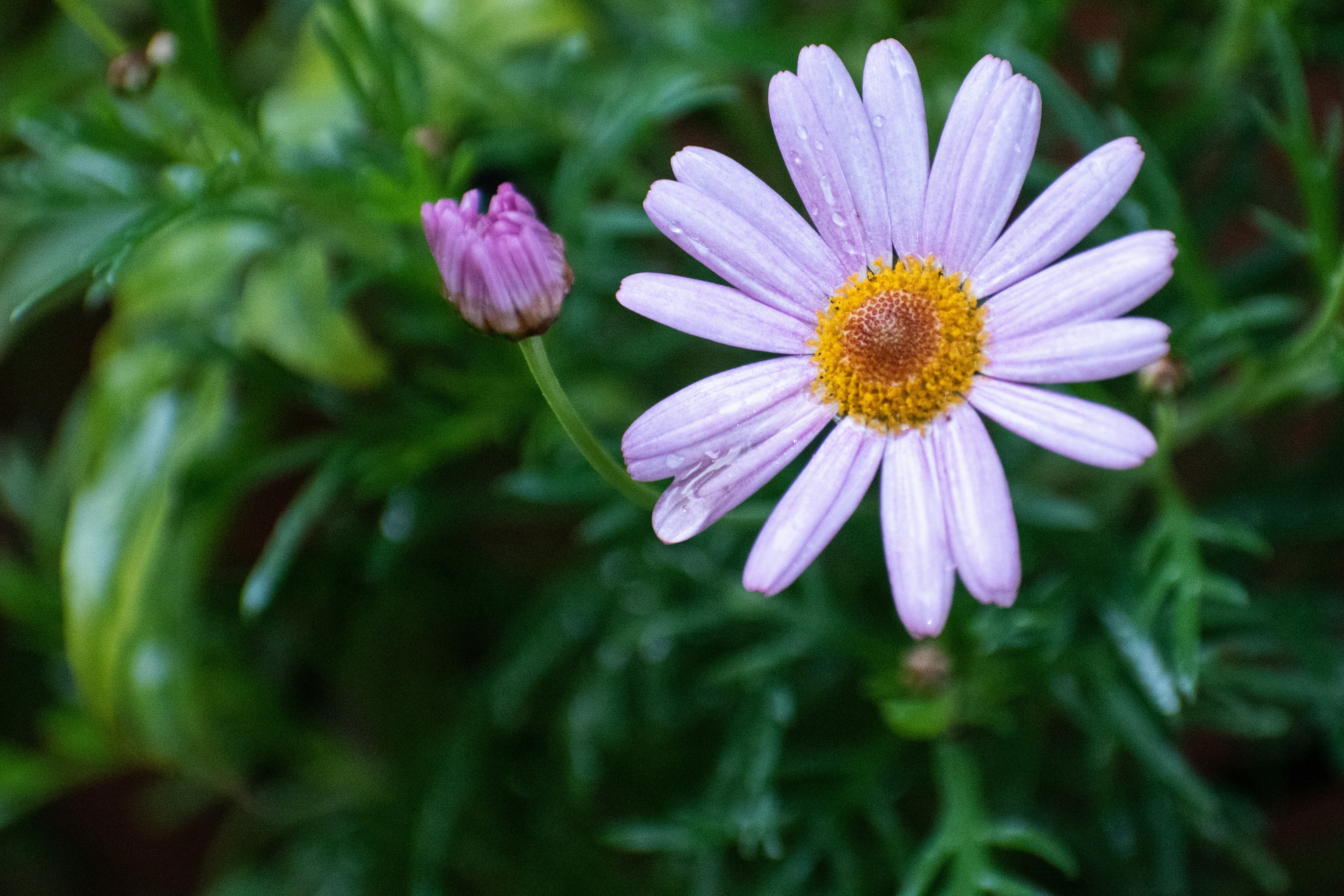 Photo by elisastonephotography