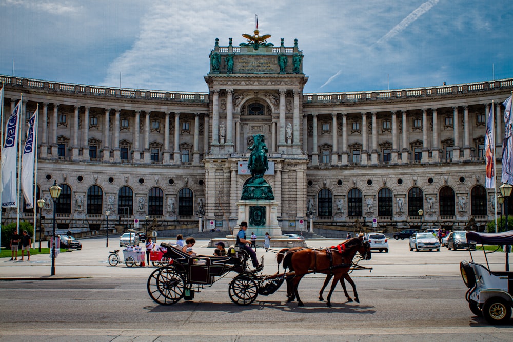 brown horse with carriage on road near building during daytime