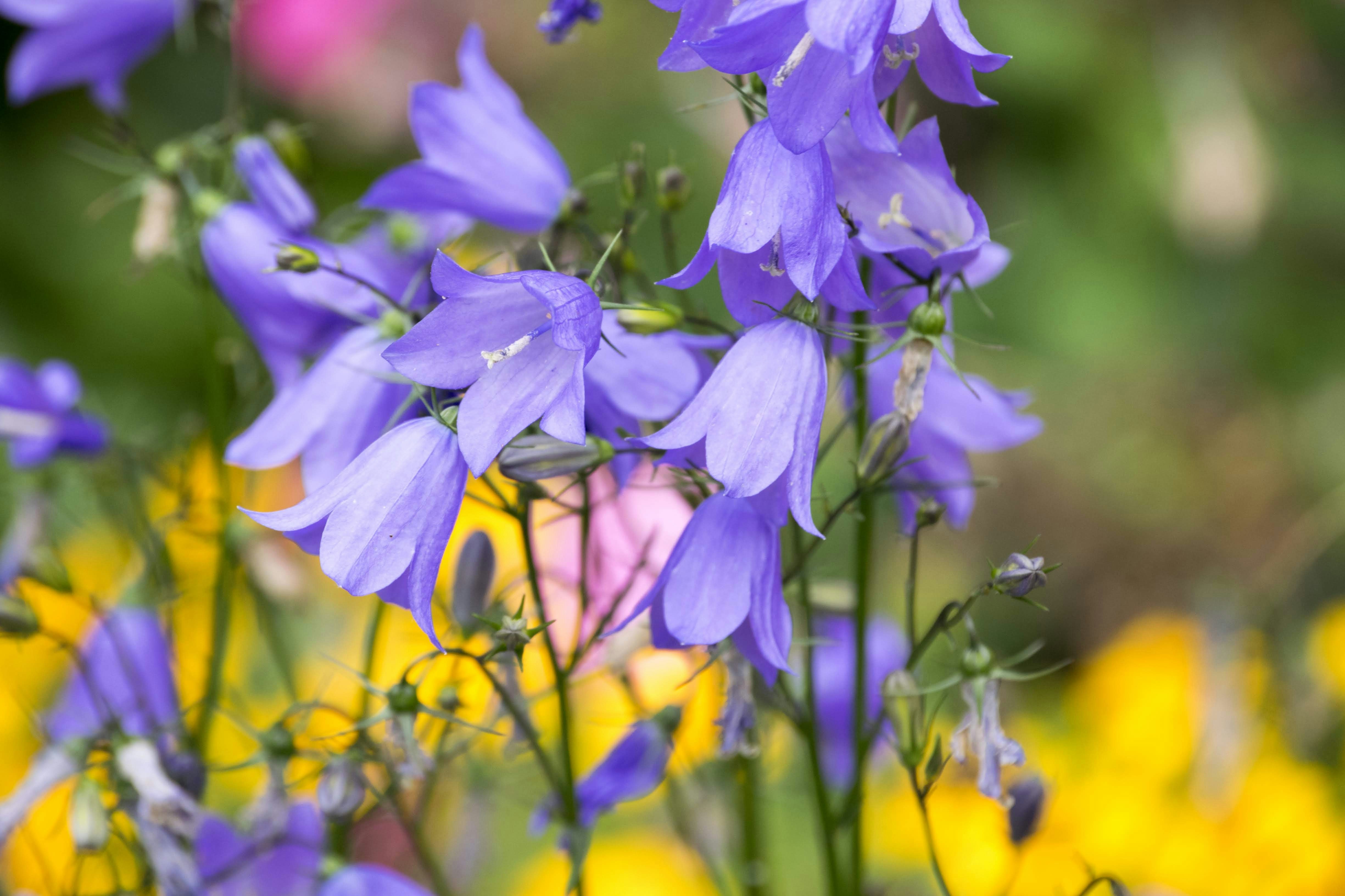 Photo by mariuskarotkis