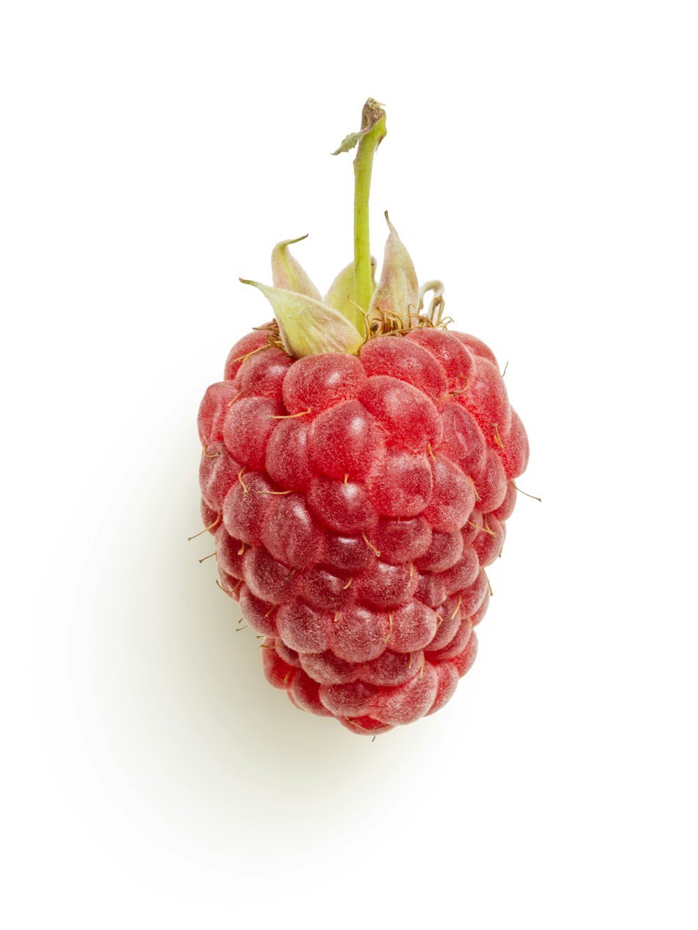 red raspberry on white background