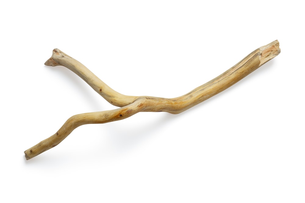 Stick pictures. Granny Wood Stick PNG.