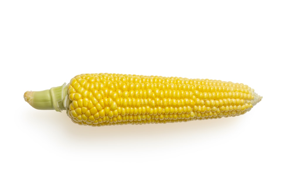 maíz amarillo sobre fondo blanco