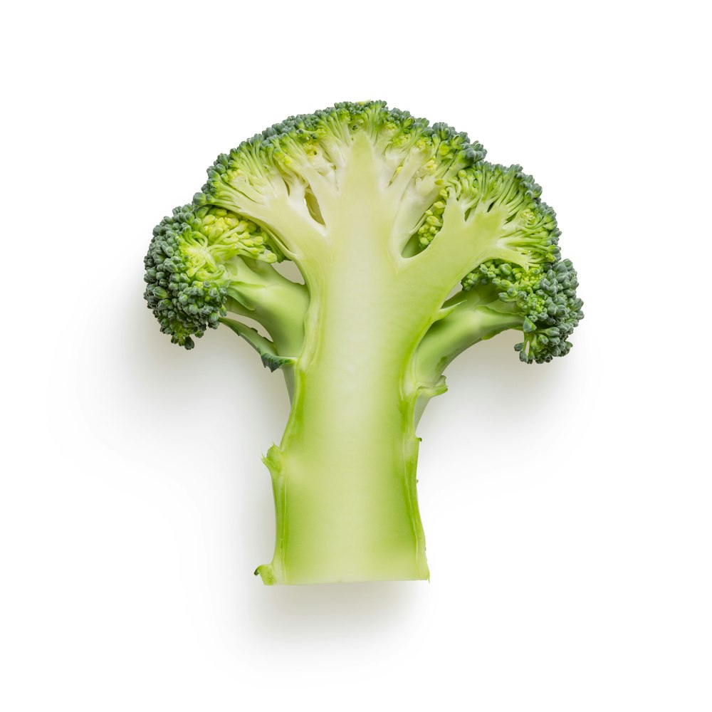 green broccoli on white background