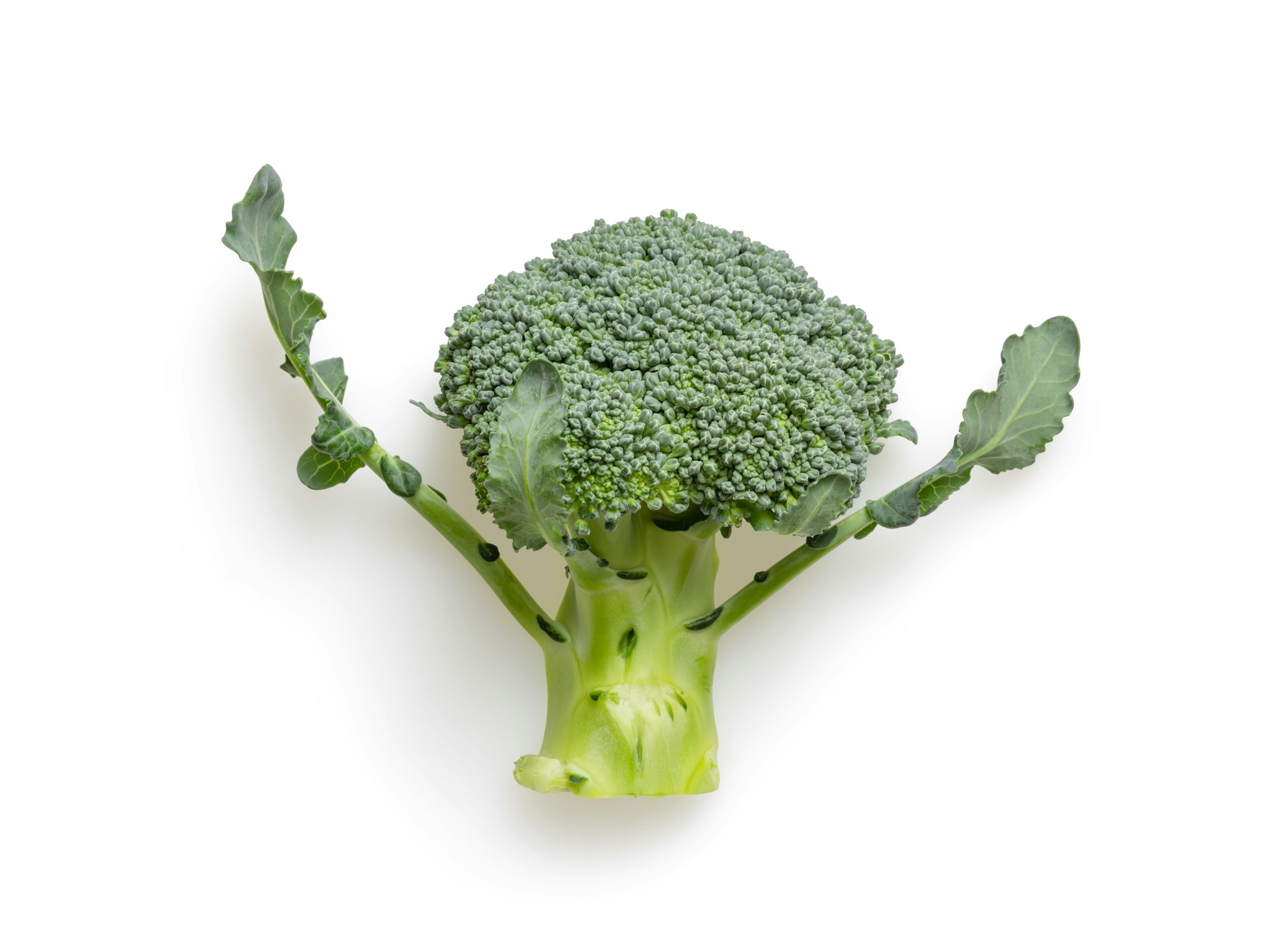 Anti-bosan dengan Variasi Brokoli
