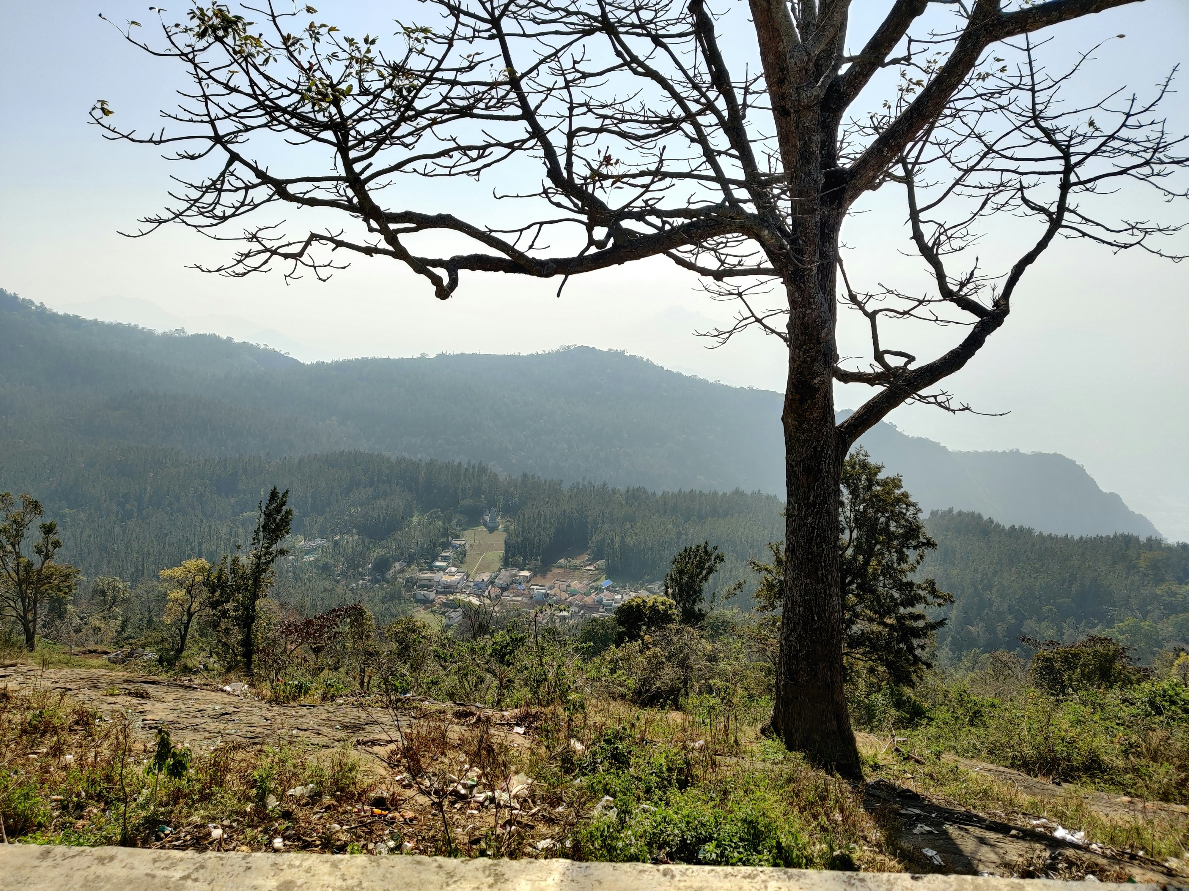Photo by tusharad18