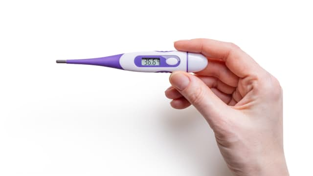 Pregnancy Test