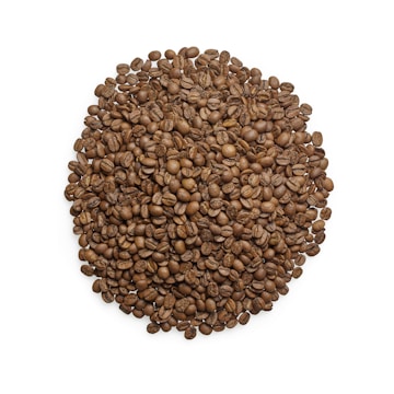 A beautifully arranged display of specialty coffee beans.