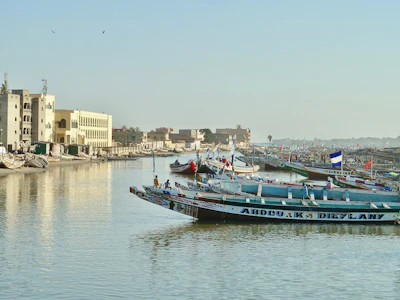 Painted pirogues on the river below the island — Saint-Louis, Senegal