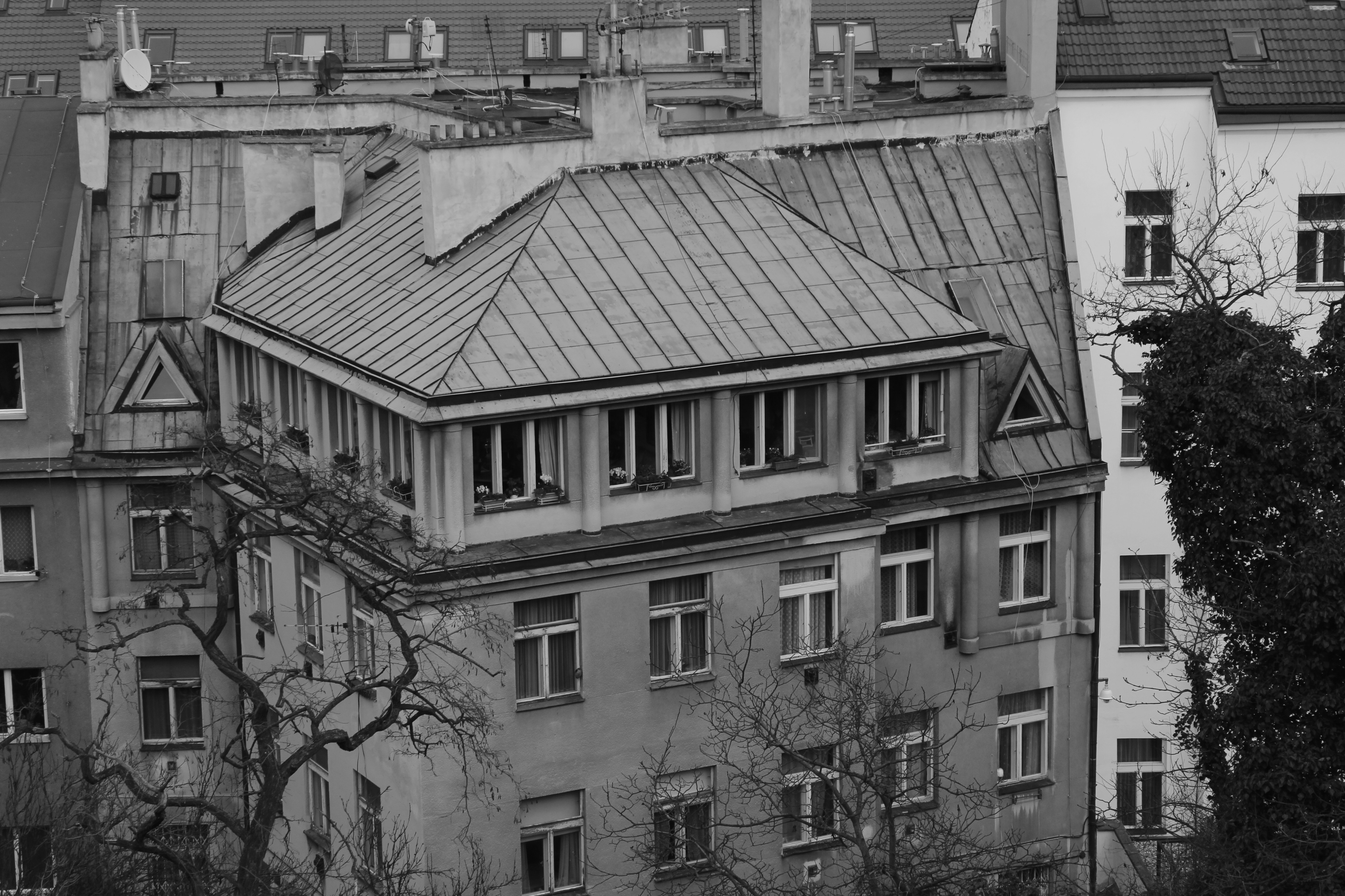 Photo by mattitanskane