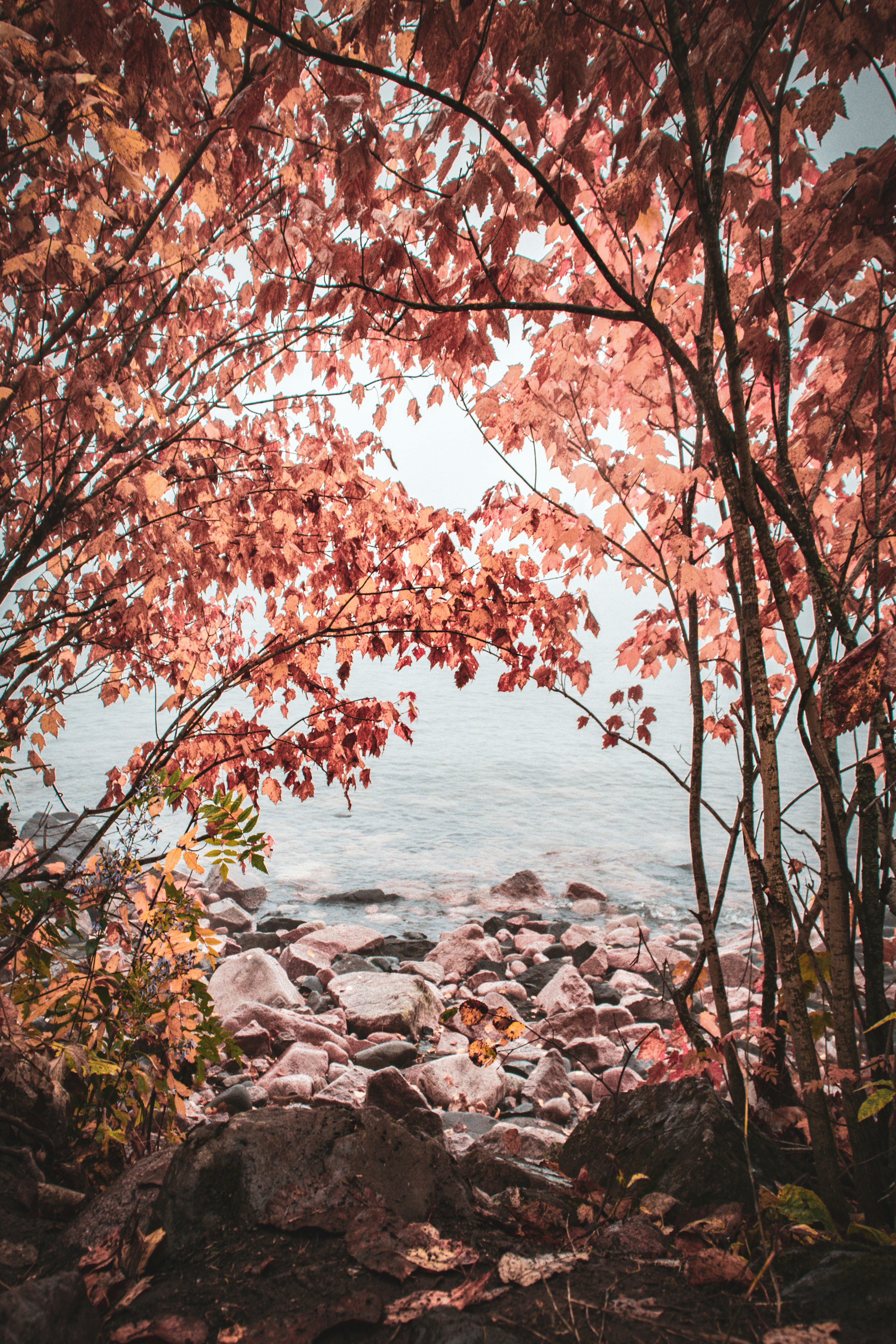 Entrance to a beach on lake superior on the north shore of minnesota with fall colors
go to linktr.ee/anthonylonder to see more of my work