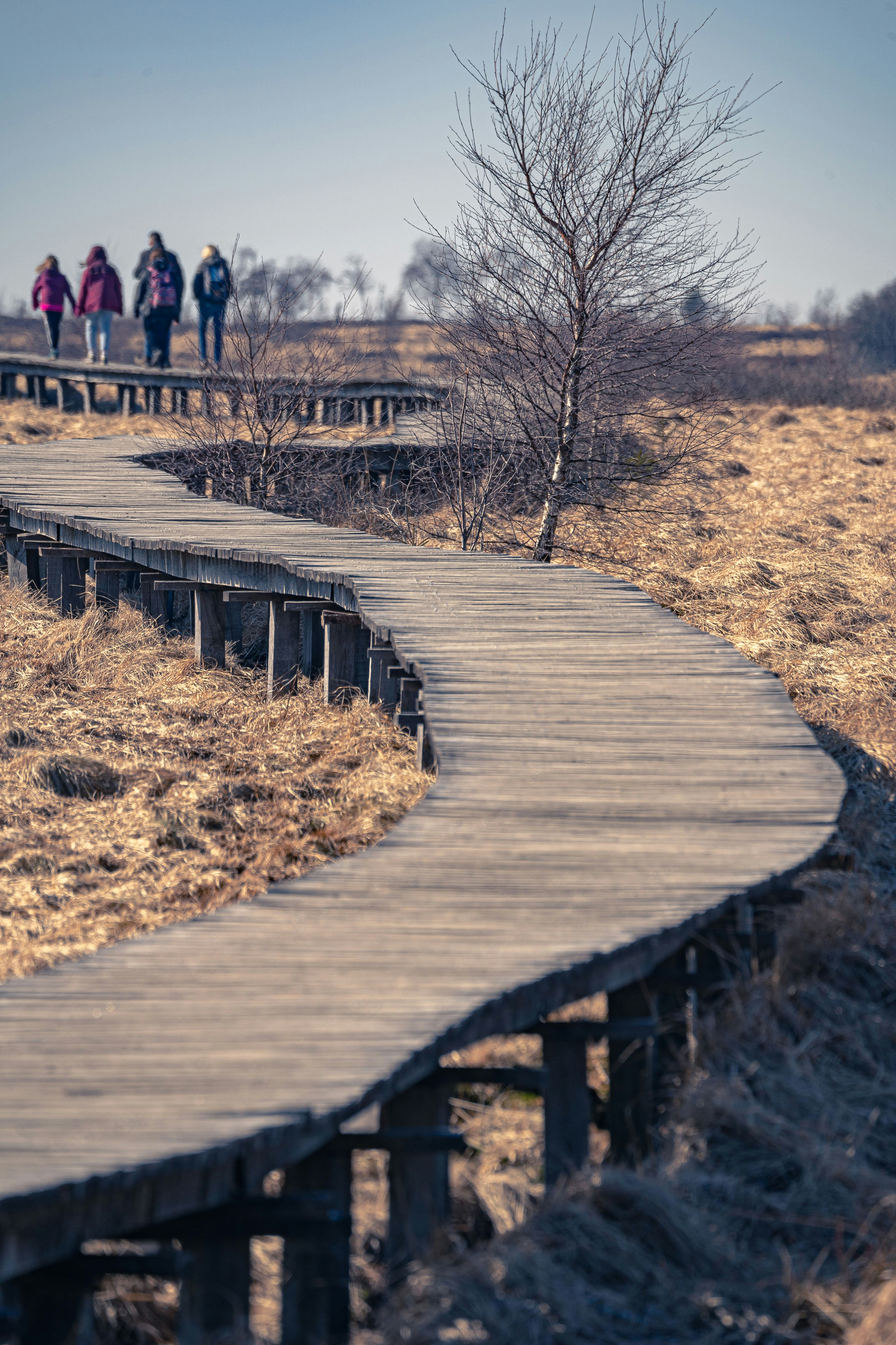 people walking on wooden bridge during daytime