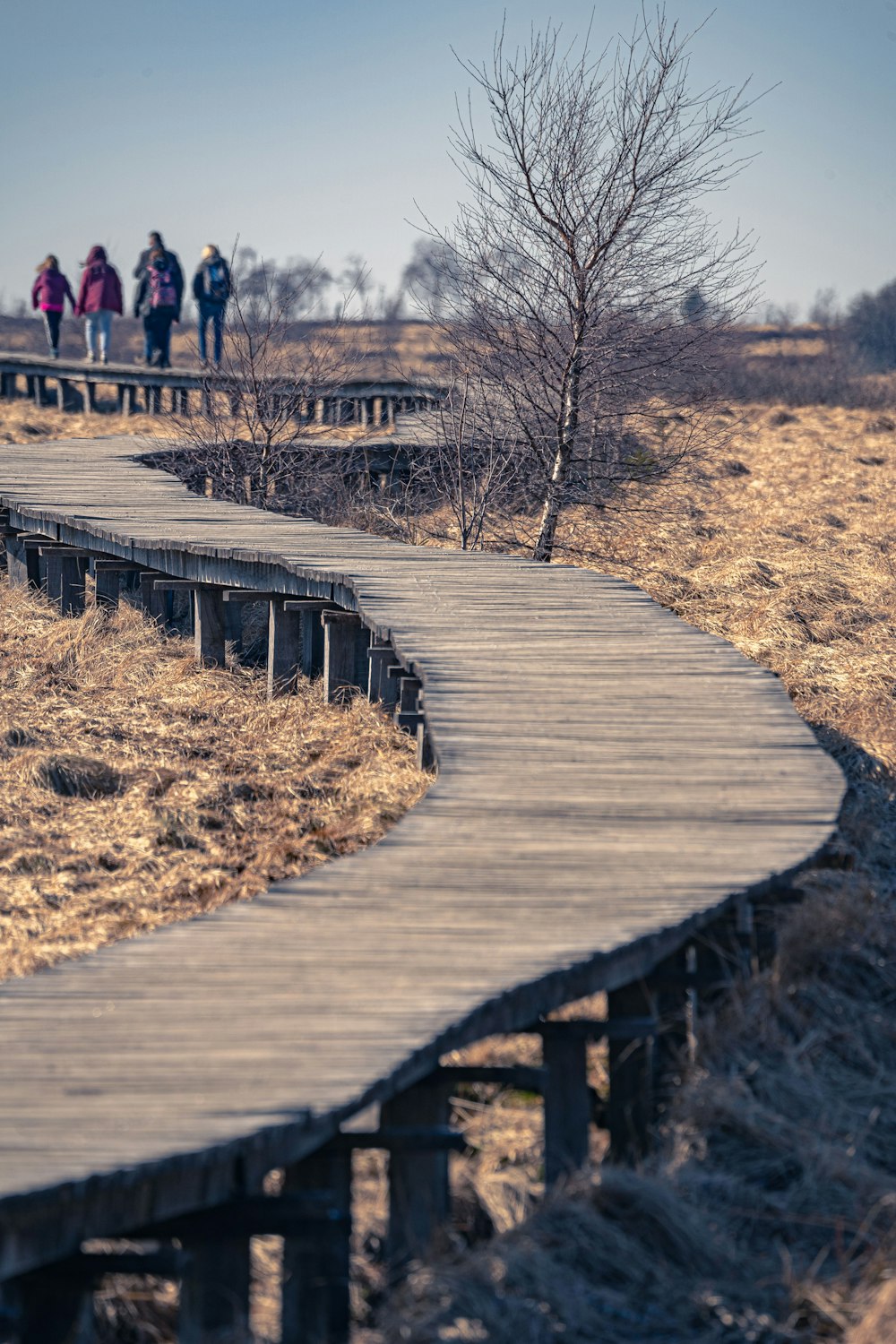 people walking on wooden bridge during daytime