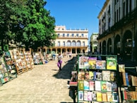 An outdoor book market set up in a sunlit plaza, with multiple stands displaying a variety of books. People are casually browsing the selections, enjoying the warm, inviting atmosphere. Surrounding the market are elegant, historical buildings featuring arched windows and balconies. A large tree provides shade on part of the cobblestone ground.