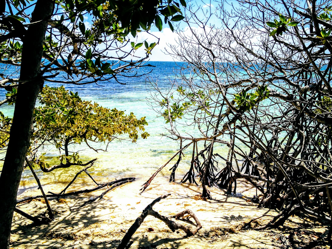 L’Avana e Cayo Coco