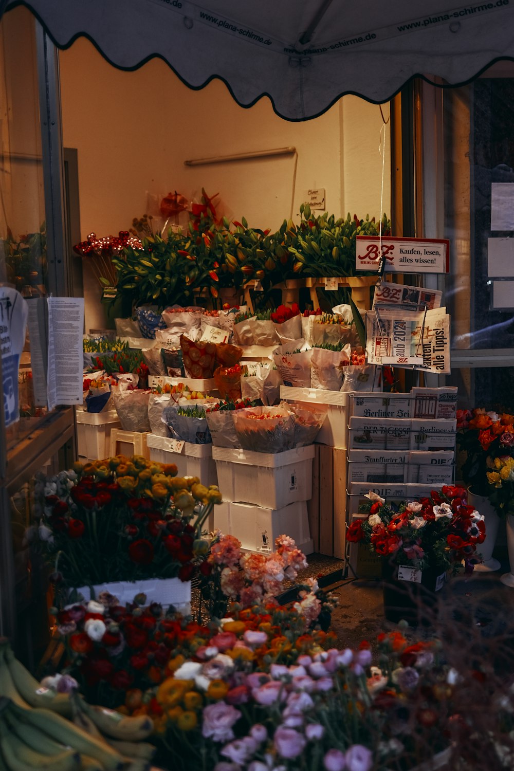 bouquet de fleurs rouges et vertes sur étagère en bois blanc