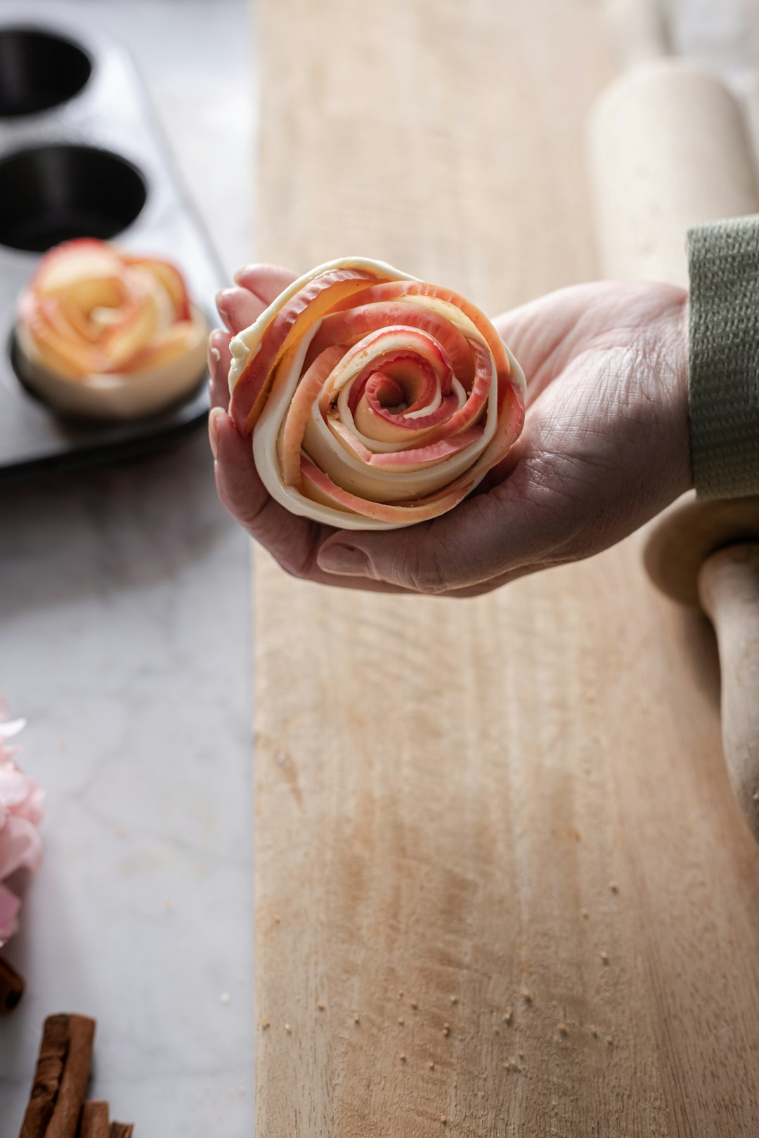 person holding pink rose flower