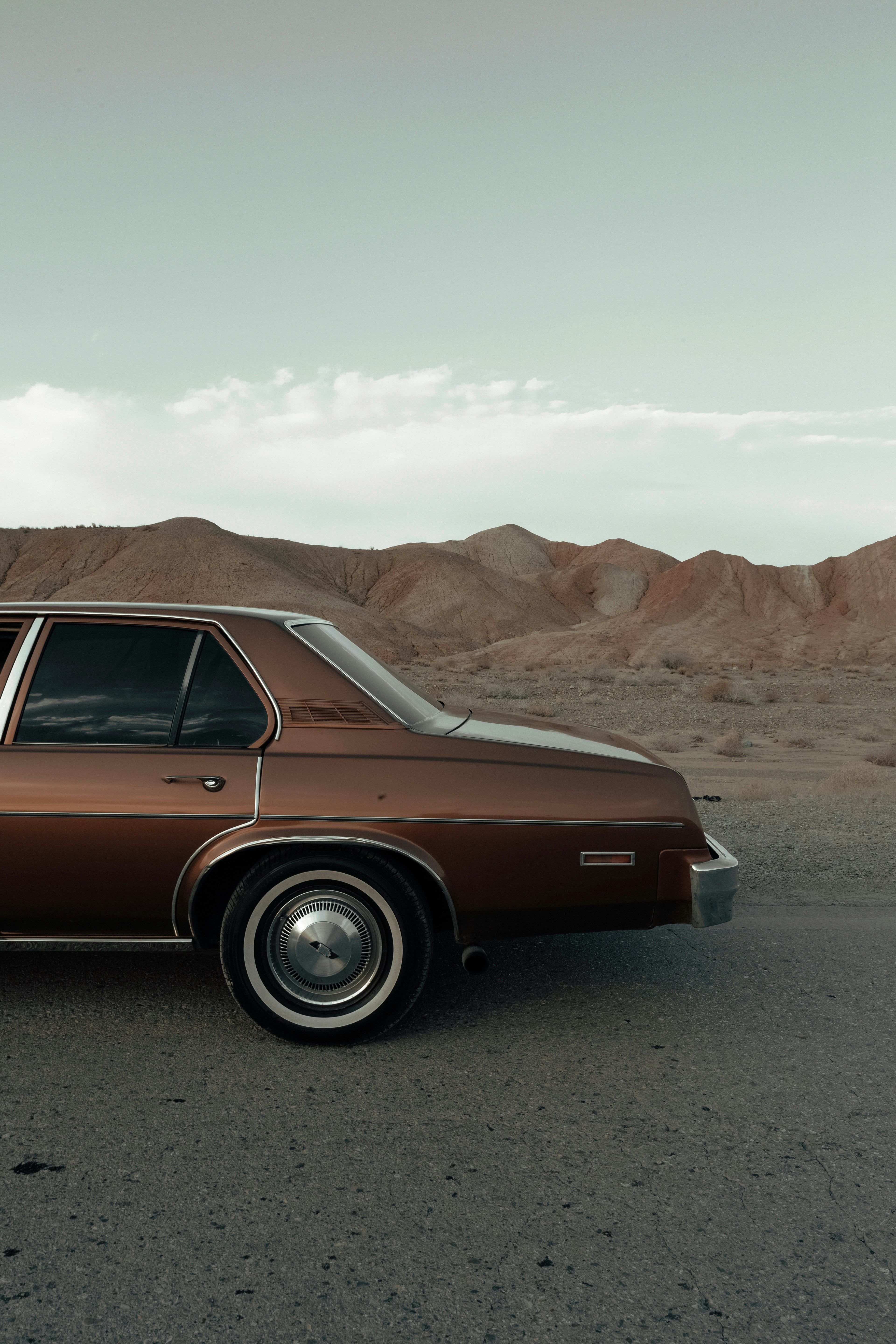 Photo by mohsenamerri