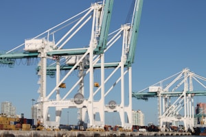 white and blue crane under blue sky during daytime