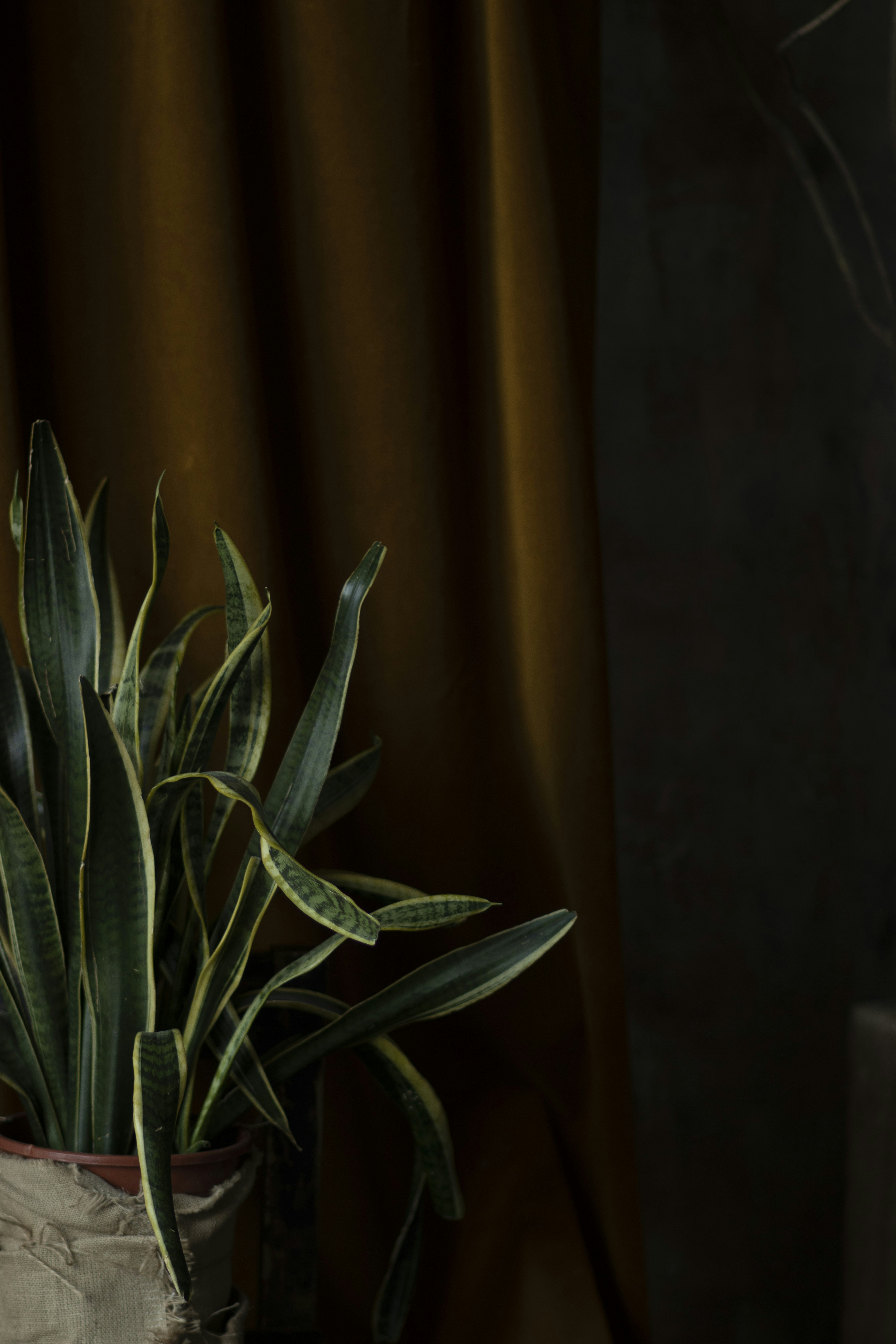 Photo by kitty_wilde