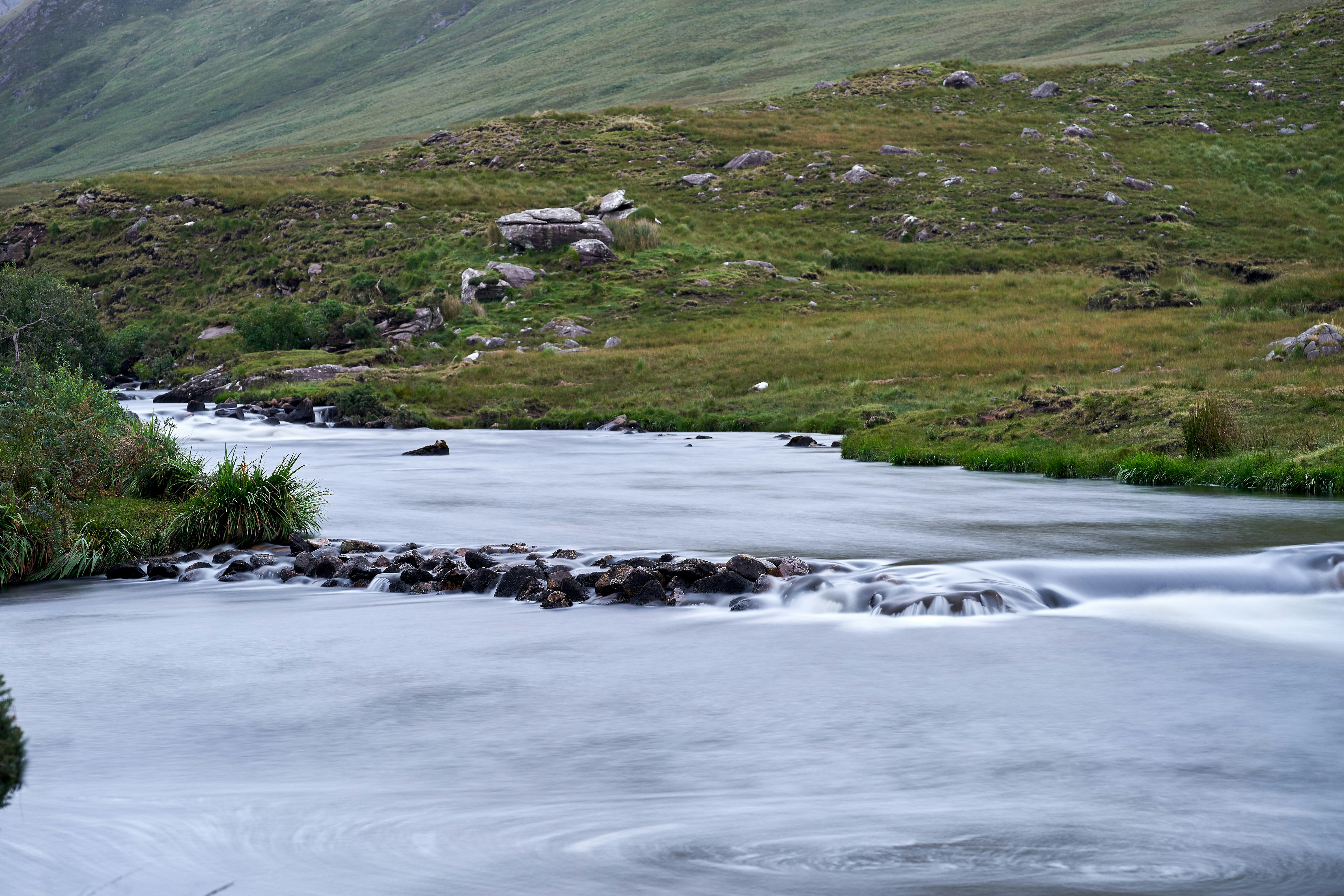 Photo by wolfgang_hasselmann