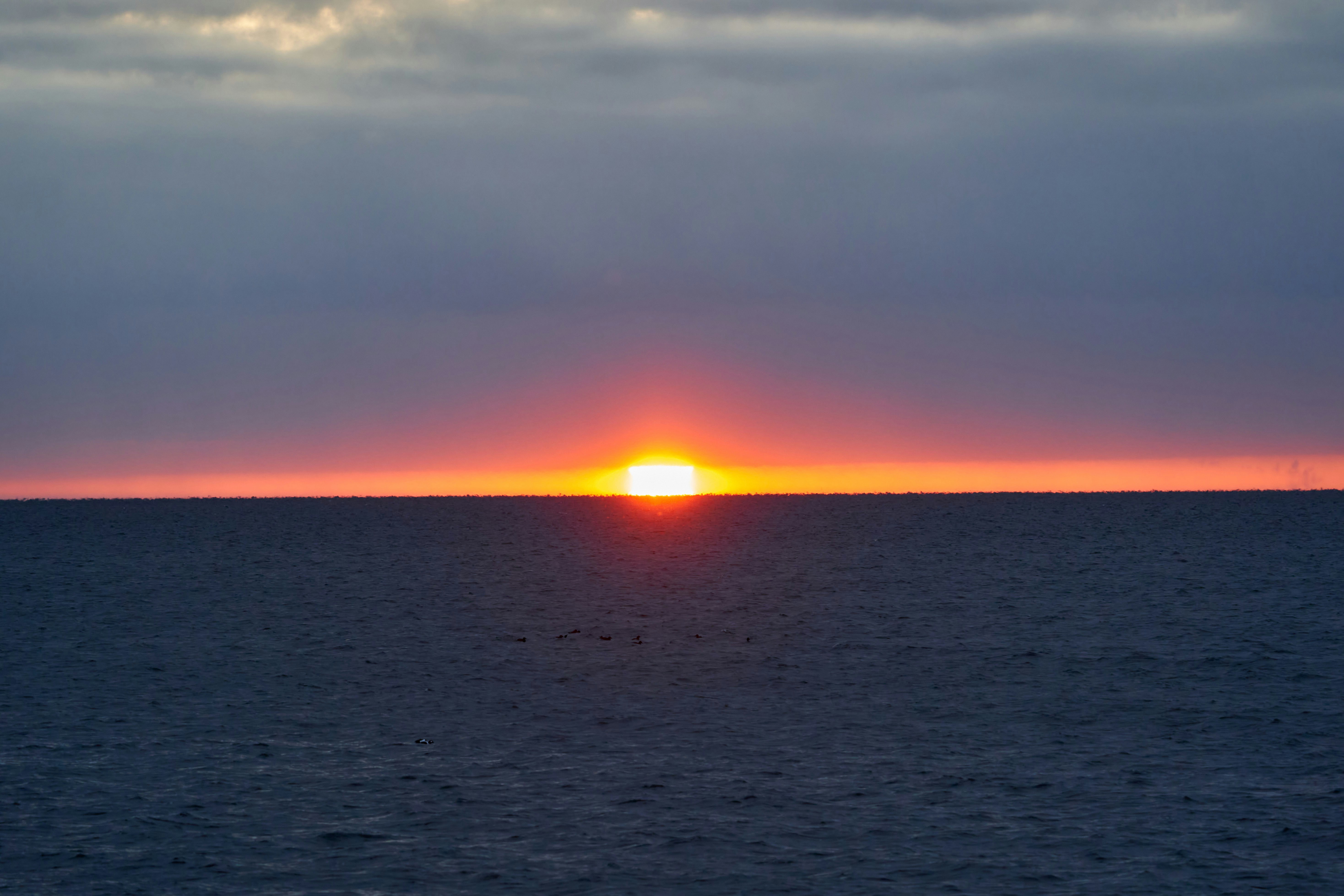 Photo by wolfgang_hasselmann