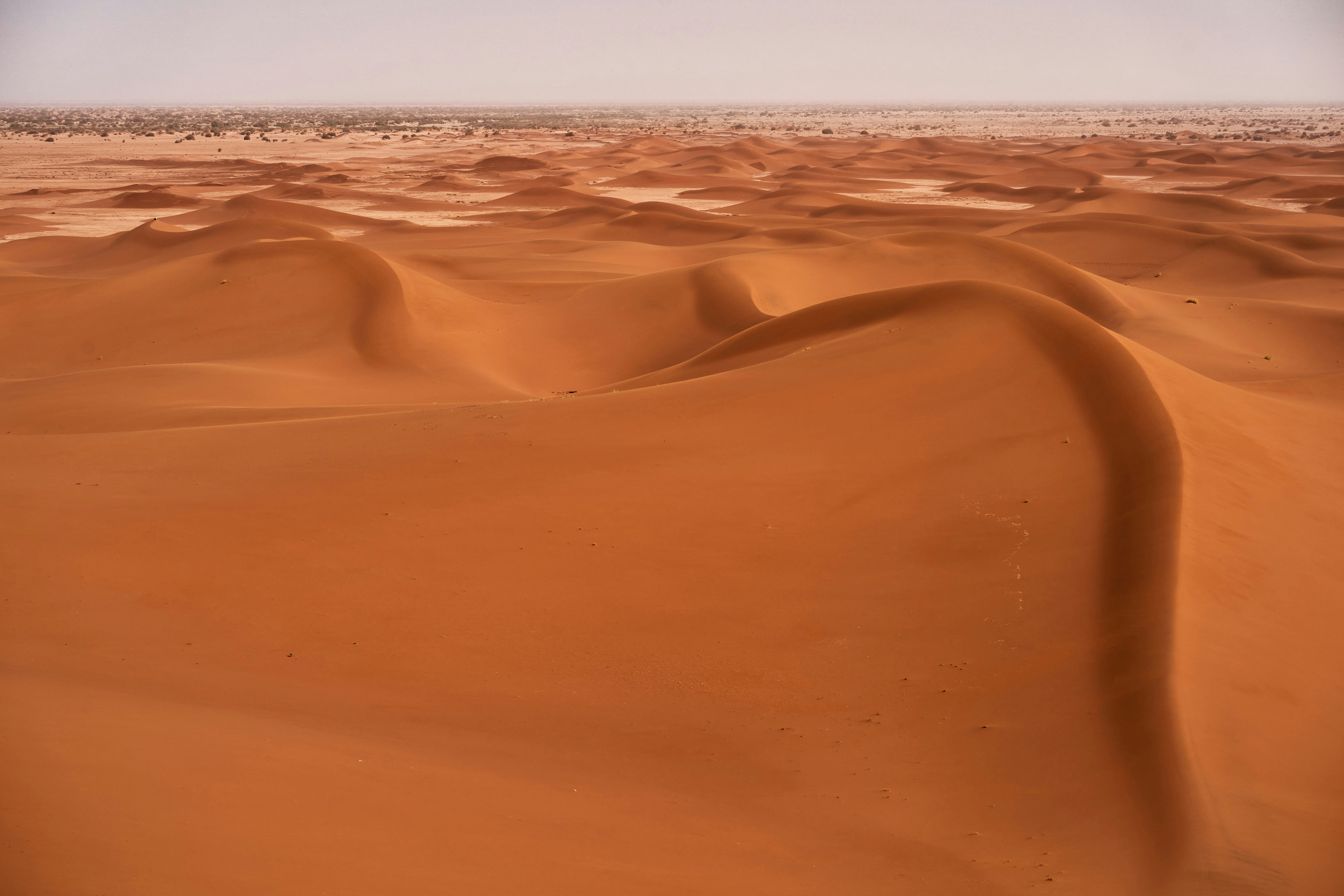 Photo by wolfgang_hasselmann